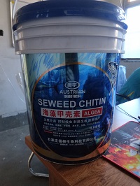 ����׿���